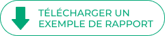Bouton téléchargement exemple de rapport DISC